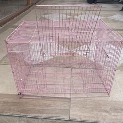 Dog Or Cat for small dog and small cat