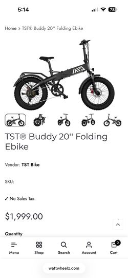 Tst Foldable buddy ebike