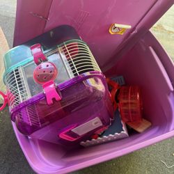 Hamster Stuff