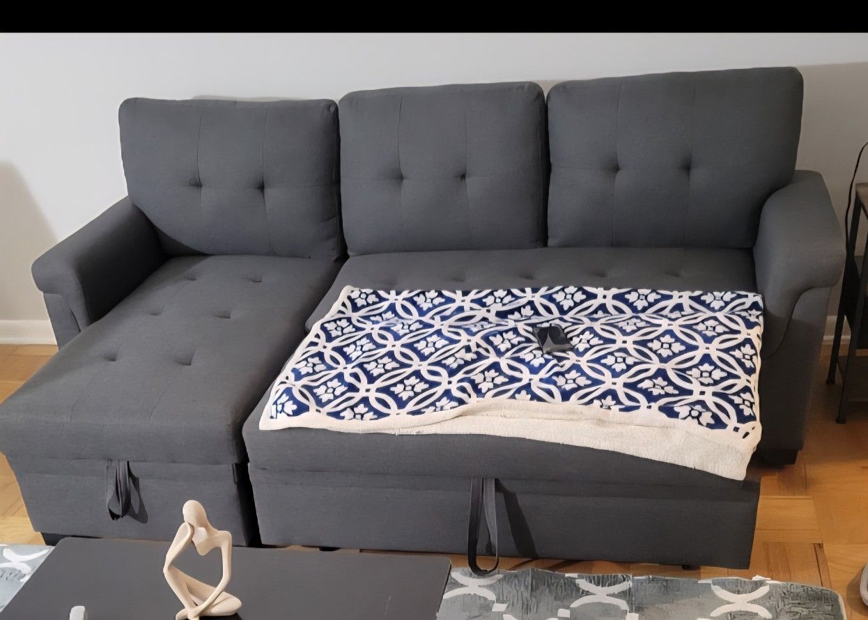 Pull Out Couch With Storage