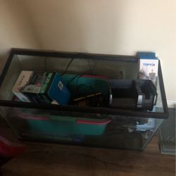 Fish Tank And Supplies 