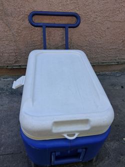 Cooler
