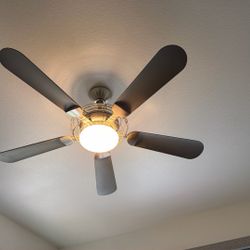Ceiling Fan , Works Fine , $50
