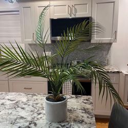 They Are 2 Decorations Of This Same Style 