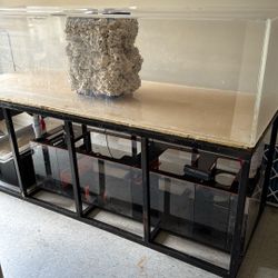 365 Gallon Fish Tank w/ Lots Of Extras