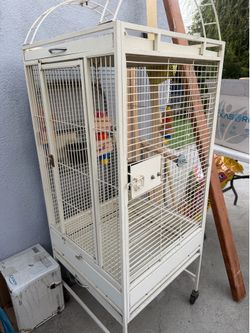 Bird Cage
