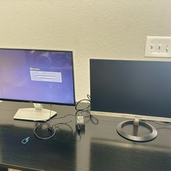 Monitor Set Of Two 