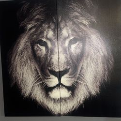 Black and White Lion Portrait