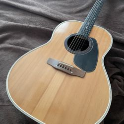ACOUSTIC GUITAR