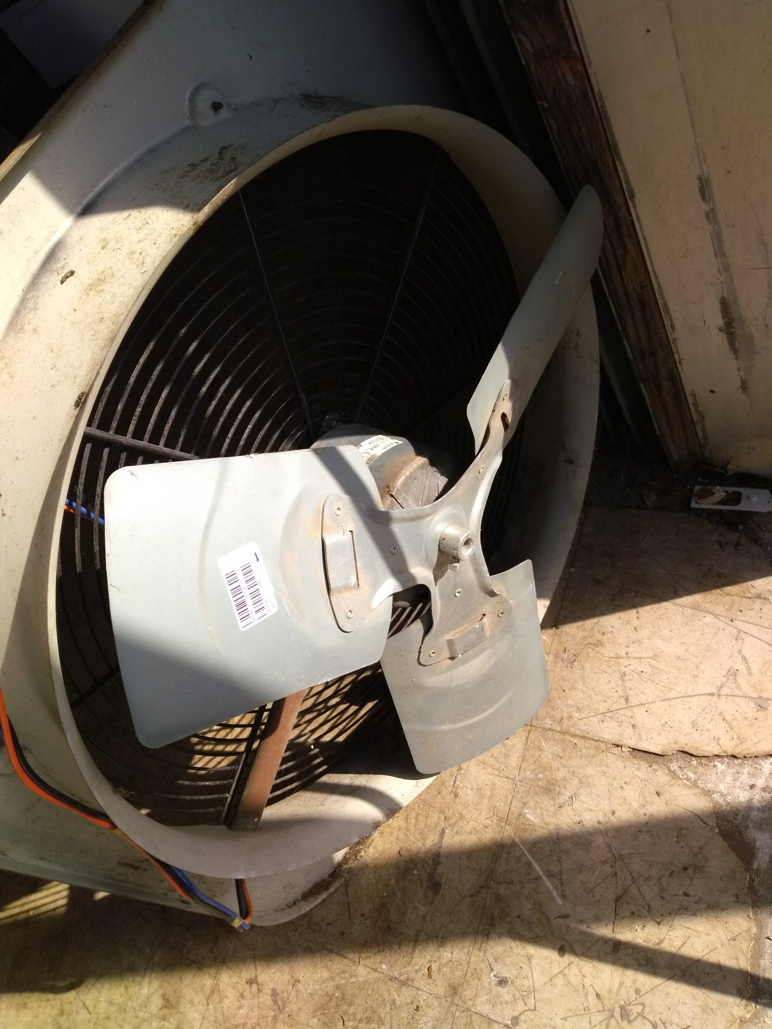 AC fan motor