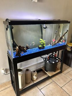 55 Gallon Aquarium