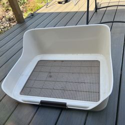Pee Tray Dog Training 