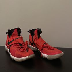 Lebron 14’s 