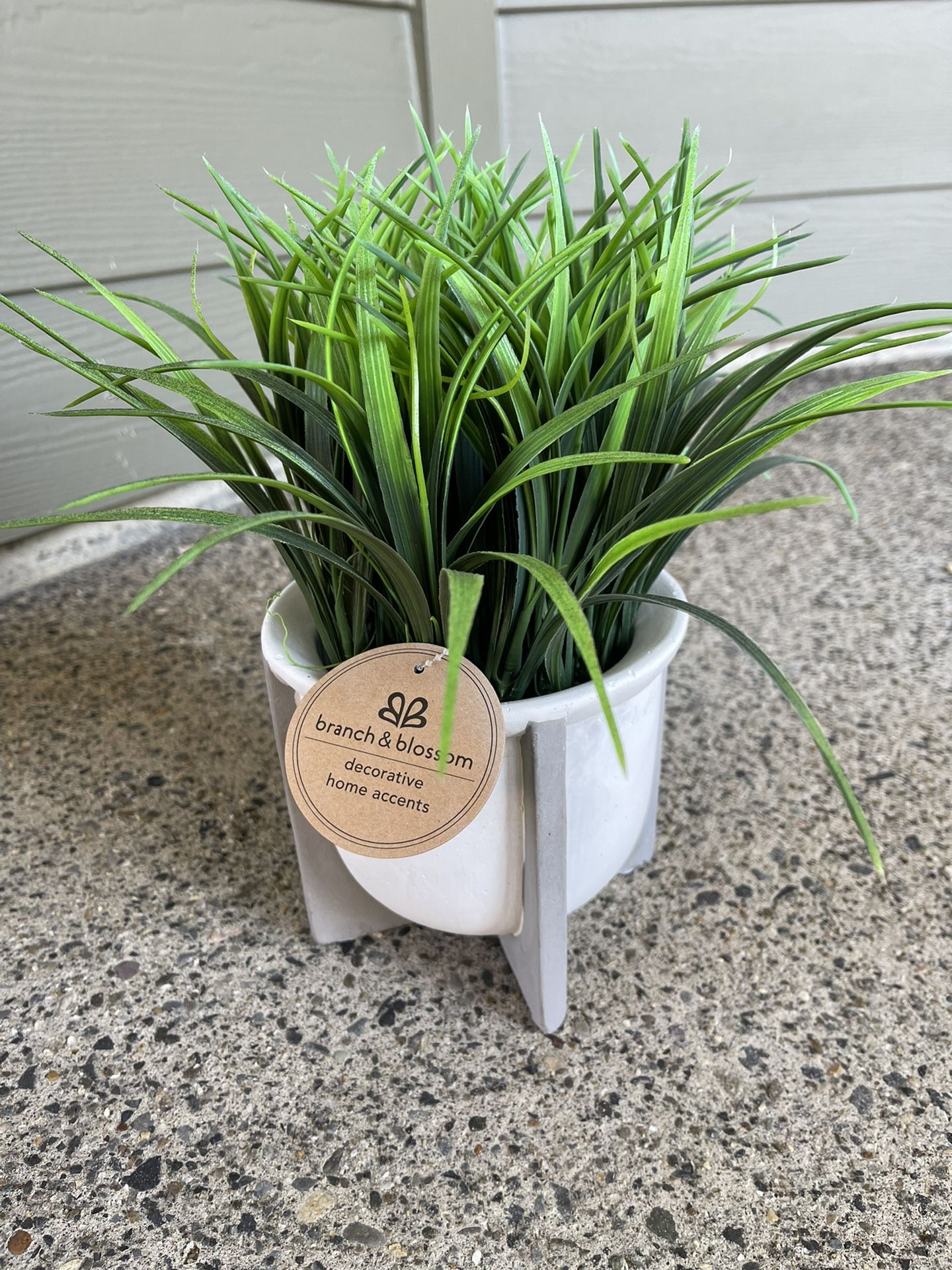 branch and blossom decorative plant