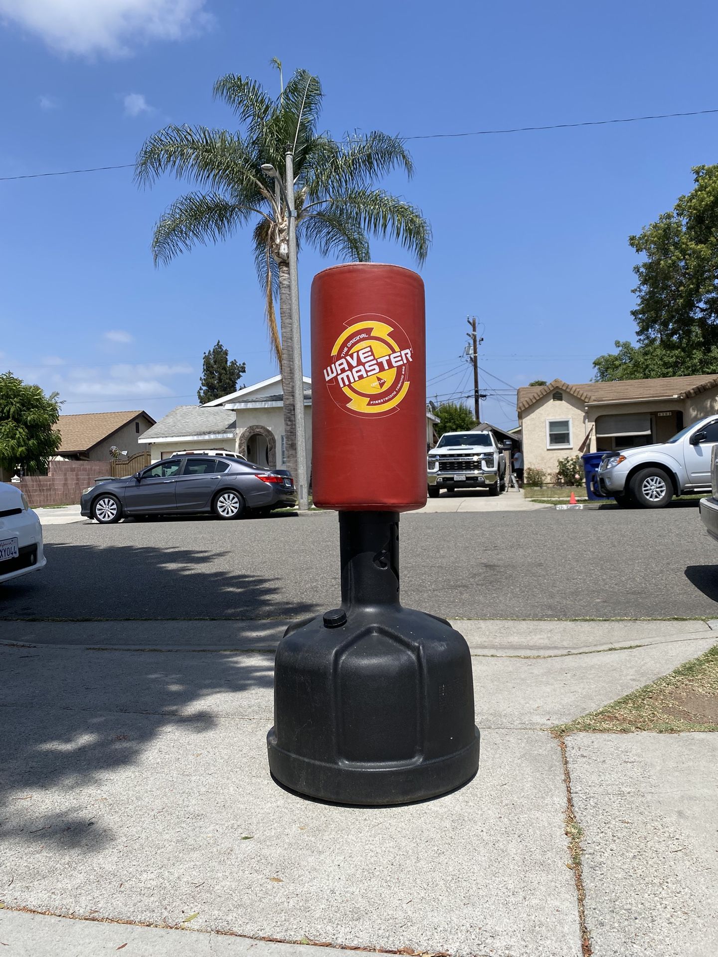 CENTURY WAVEMASTER PUNCHING BAG