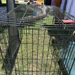Large Dog Crate-NEW