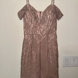 Fitted Lace Off Shoulder Pink Taupe Sparkle Dress Size 7