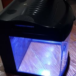 Fish Aquarium