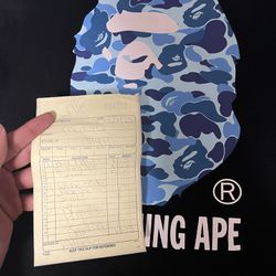 A Bathing Ape BAPE Blue Camo Pillow Case Cover - 45cm X 45cm for Sale in  Englewd Clfs, NJ - OfferUp