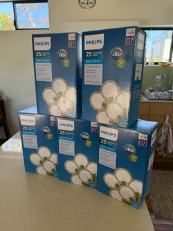 Philips 25 G40 Globe LED String Lights – Lot of 5