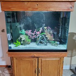 Aquarium Fish Tank
