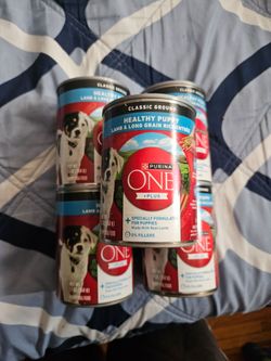 Free Dog Food