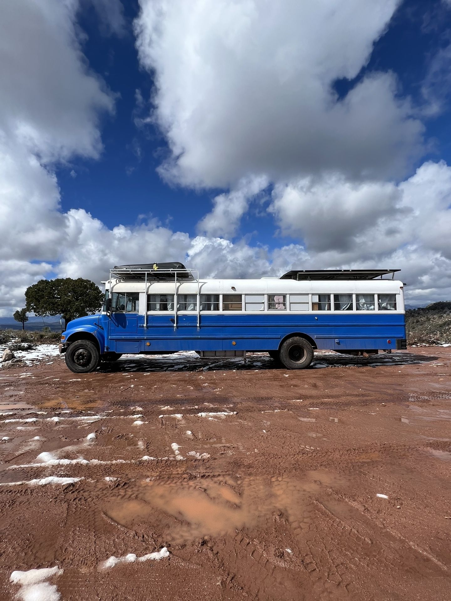 2004 International Diesel School Bus