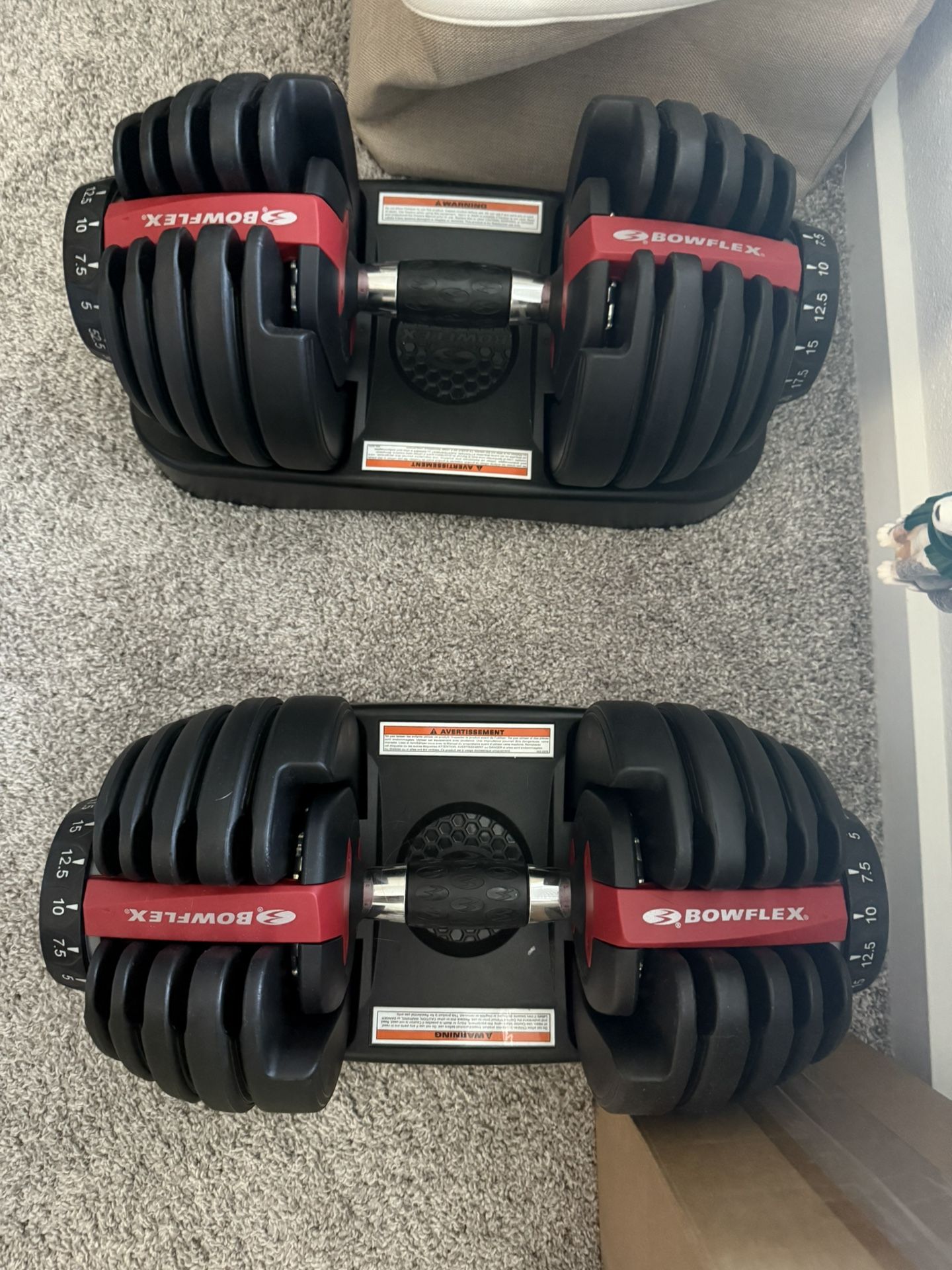 Bowflex Dumbbells