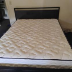 Queen Size Mattress And Bedframe 