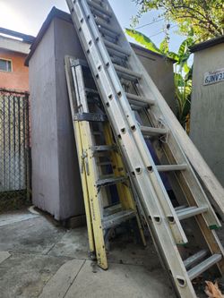 Ladders scaffold