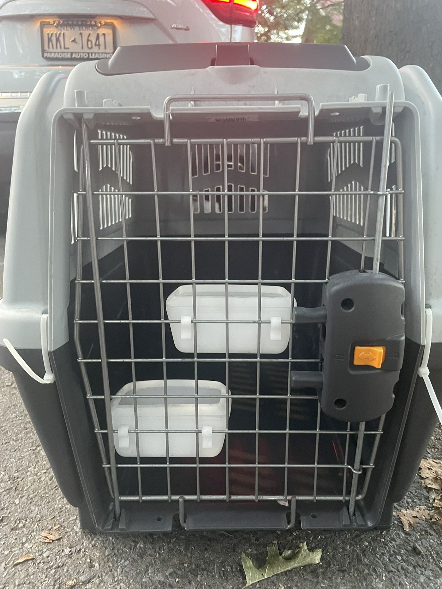 Skudo Pet Travel Plastic Carrier / Crate for Sale in Brooklyn, NY OfferUp