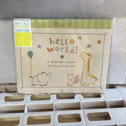Baby’s First Year Calendar