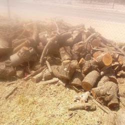 almond firewood