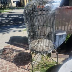 Bird Cage 