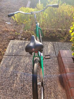 Schwinn best sale panther green