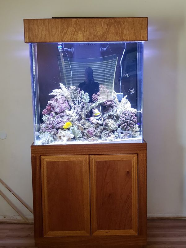 100 gallon custom aquarium and custom stand for Sale in