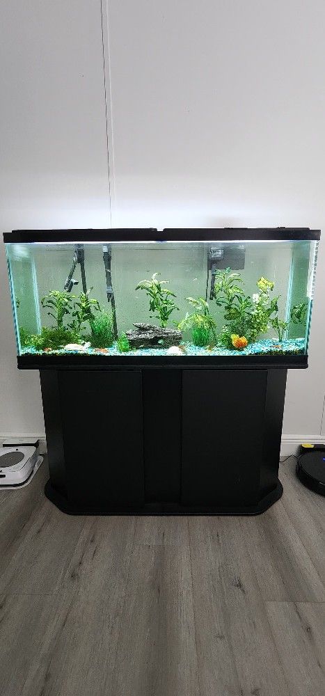 55" Fish Tank