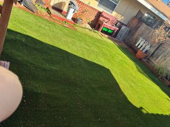 Also this synthetic grass 20x30