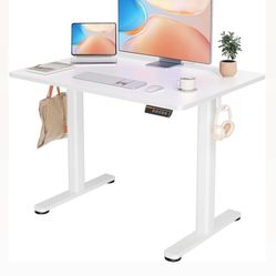Electric Standing Desk (6)
