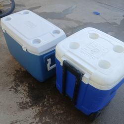 Coleman Cooler