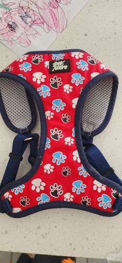 Dog Leash And Harness Coastal