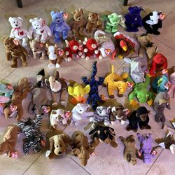 Beanie Baby collection (43 Total)