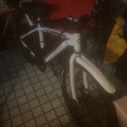 Vortex  E Bike