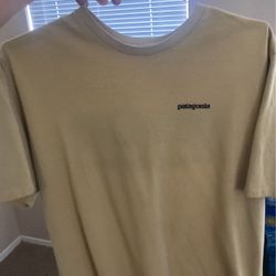 Patagonia Tee