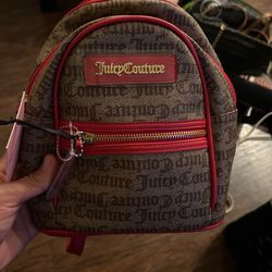 Juicy Couture Bag