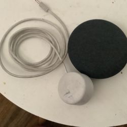 Google Home Mini Gen 1