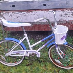 VINTAGE? WINNEBAGO PRINCESS GIRLS BIKE BANANA SEAT 