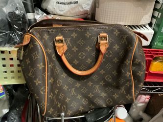 louis vutton bag (read desc)
