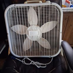 Fan