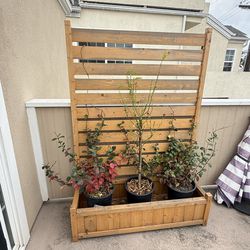 Privacy screen planter